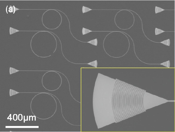 Scanning electron micrograph of a bottom-up-grown III-nitride photonic circuit with a grating-coupler inset
